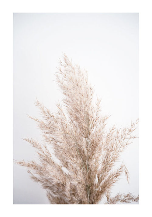 Autumn Reed no. 2 Autumn Reed no. 2