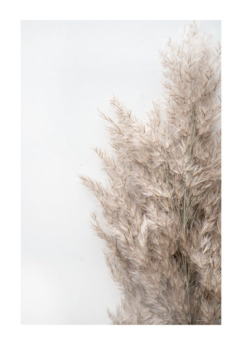 Autumn Reed no. 1 Autumn Reed no. 1