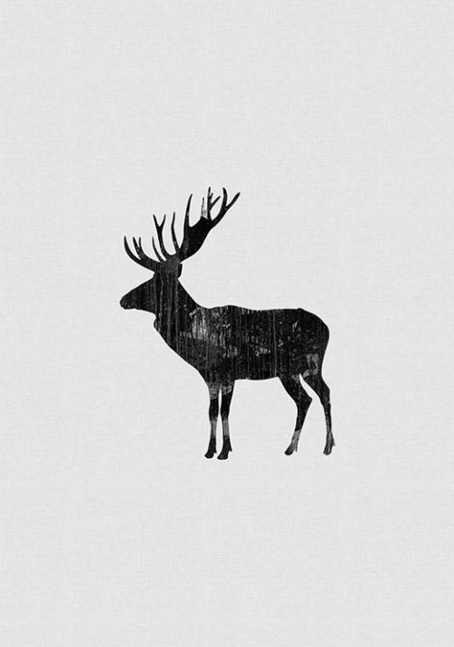 Moose - Orara Studio Moose - Orara Studio