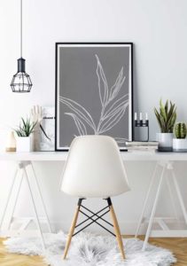 Eucalyptus Nicholii BW - Agave Designs Eucalyptus Nicholii BW - Agave Designs
