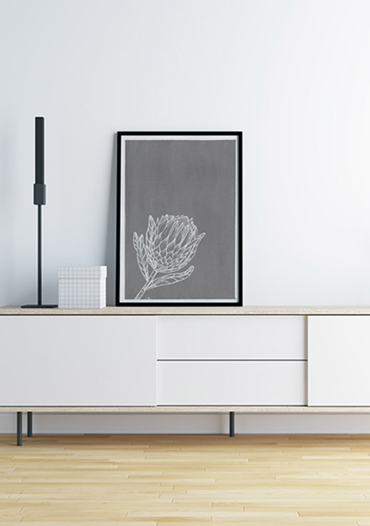 Protea BW - Agave Designs Protea BW - Agave Designs