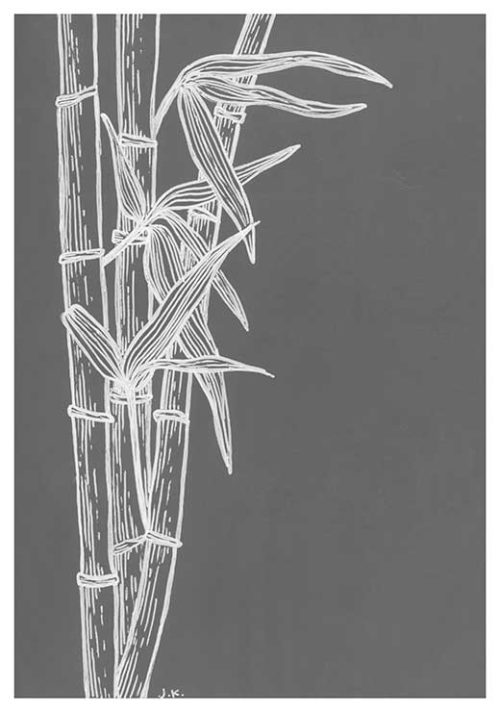 Bamboo BW - Agave Designs Bamboo BW - Agave Designs
