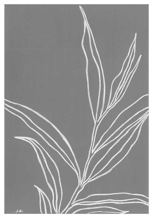 Eucalyptus Nicholii BW - Agave Designs Eucalyptus Nicholii BW - Agave Designs