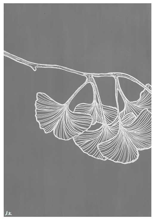 Ginkgo BW - Agave Designs Ginkgo BW - Agave Designs