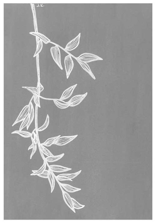 Italy Vine BW - Agave Designs Italy Vine BW - Agave Designs