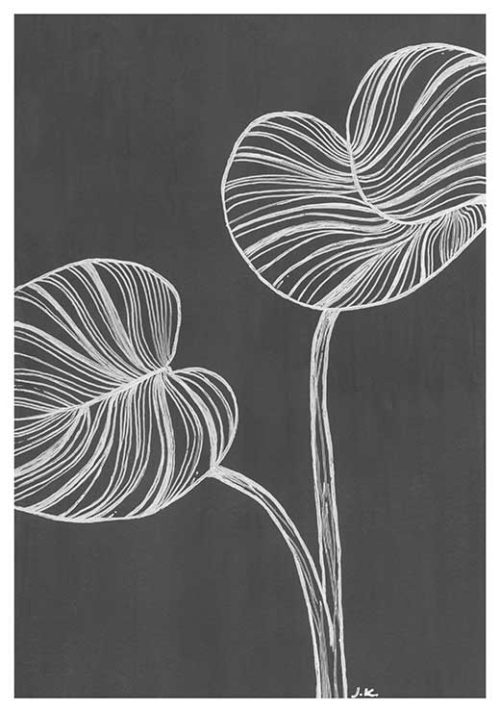 Philodendron BW - Agave Designs Philodendron BW - Agave Designs