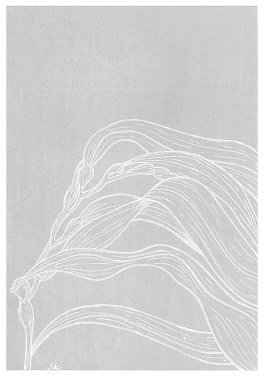 Under the Sea #1 BW - Agave Designs Under the Sea #1 BW - Agave Designs