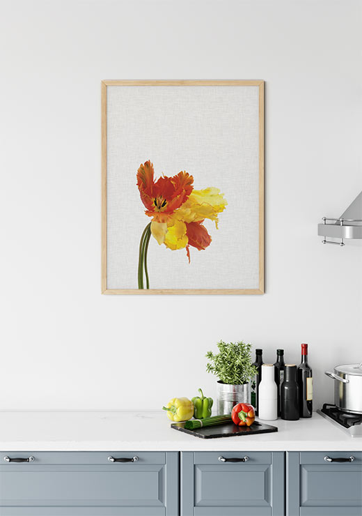 Tulip Still Life - Orara Studio Tulip Still Life - Orara Studio