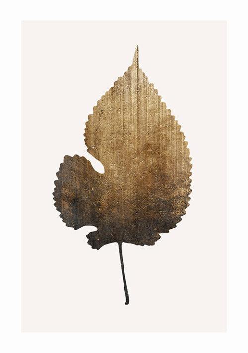 Golden leaf - Kubistika Golden leaf - Kubistika