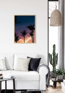 Palms - Sindre Stølen Palms - Sindre Stølen
