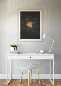 Small Beauty in The Forest - Gustav Mørch