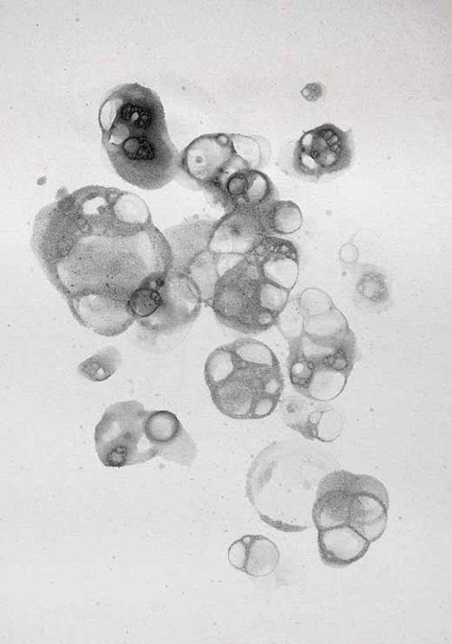 Aquarelle BUBBLES - Black - Studio Nahili Aquarelle BUBBLES - Black - Studio Nahili