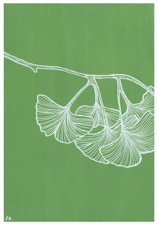 Ginkgo - Agave Designs Ginkgo - Agave Designs