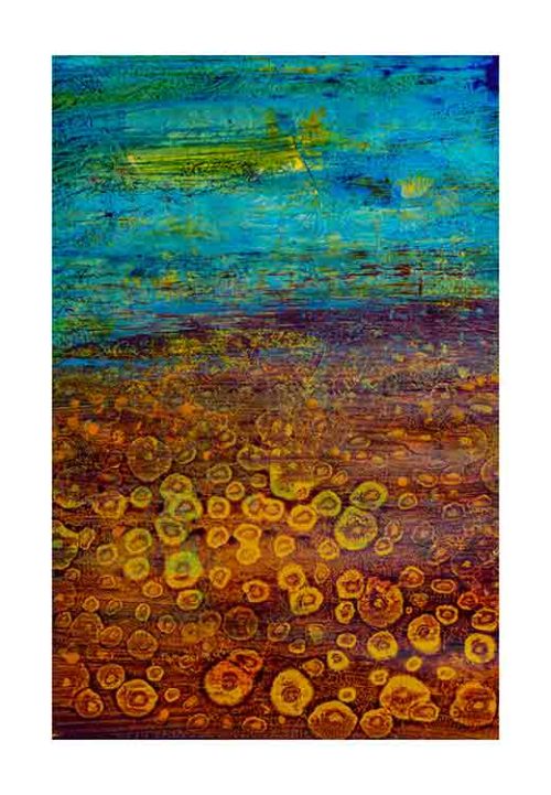 Sunflowers Field - Anne-Lee