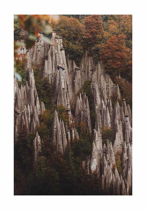 The Art of Nature - Gustav Mørch