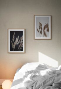 Perfect PAMPAS in the Dark - Studio Nahili Perfect PAMPAS in the Dark - Studio Nahili
