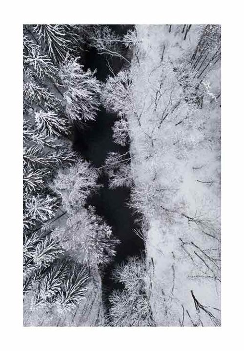 Black River Through the Snowy Winter Forest - Studio Nahili Black River Through the Snowy Winter Forest - Studio Nahili