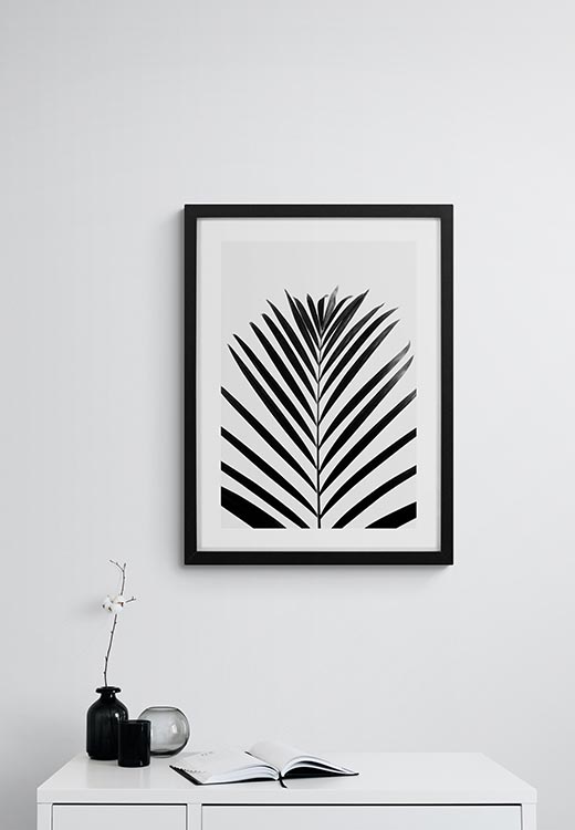 Lush TROPICAL Palms - B&W - Studio Nahili Lush TROPICAL Palms - B&W - Studio Nahili